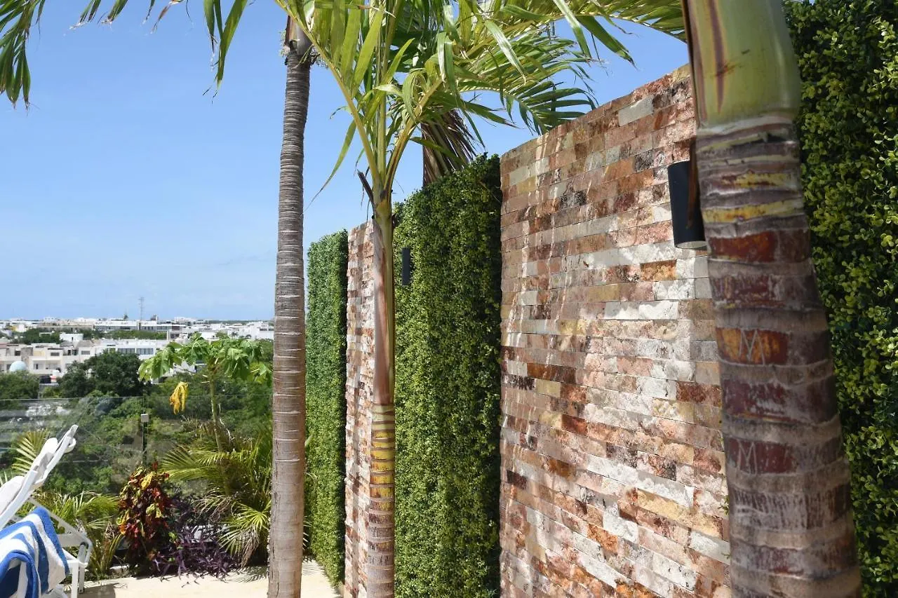 Suites Calle 38 Playa del Carmen Apartment