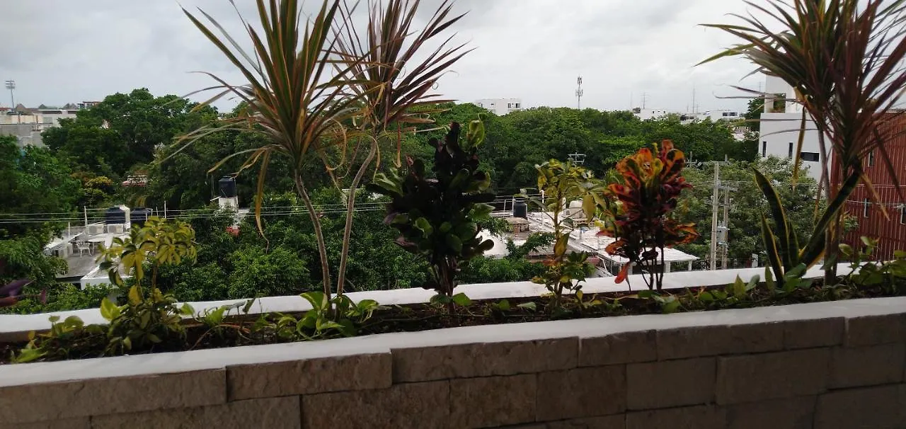 Suites Calle 38 Playa del Carmen 0*,