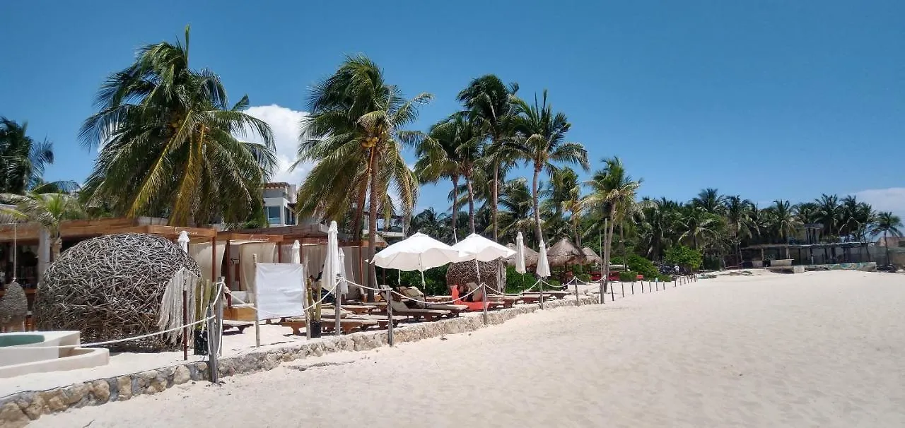 Suites Calle 38 Playa del Carmen 0*,  Mexico