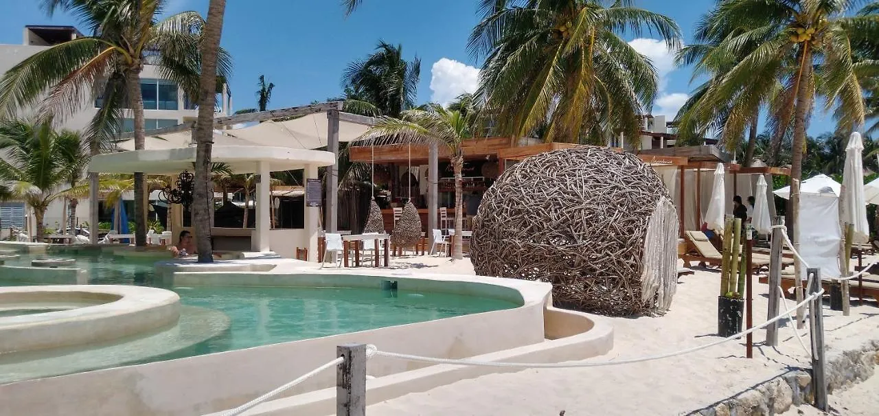 Suites Calle 38 Playa del Carmen Apartment