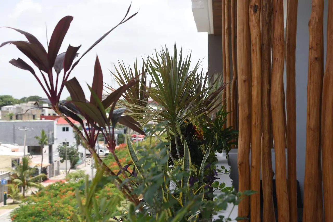 Suites Calle 38 Playa del Carmen 0*,