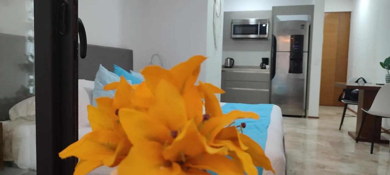Apartment Suites Calle 38 Playa del Carmen Mexico